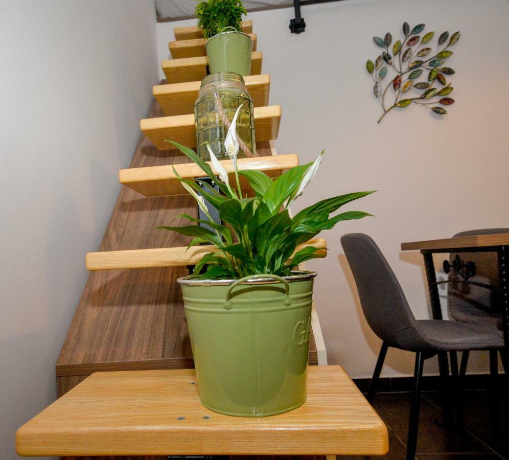 PUY Vintage Garden Apartment מראה חיצוני תמונה