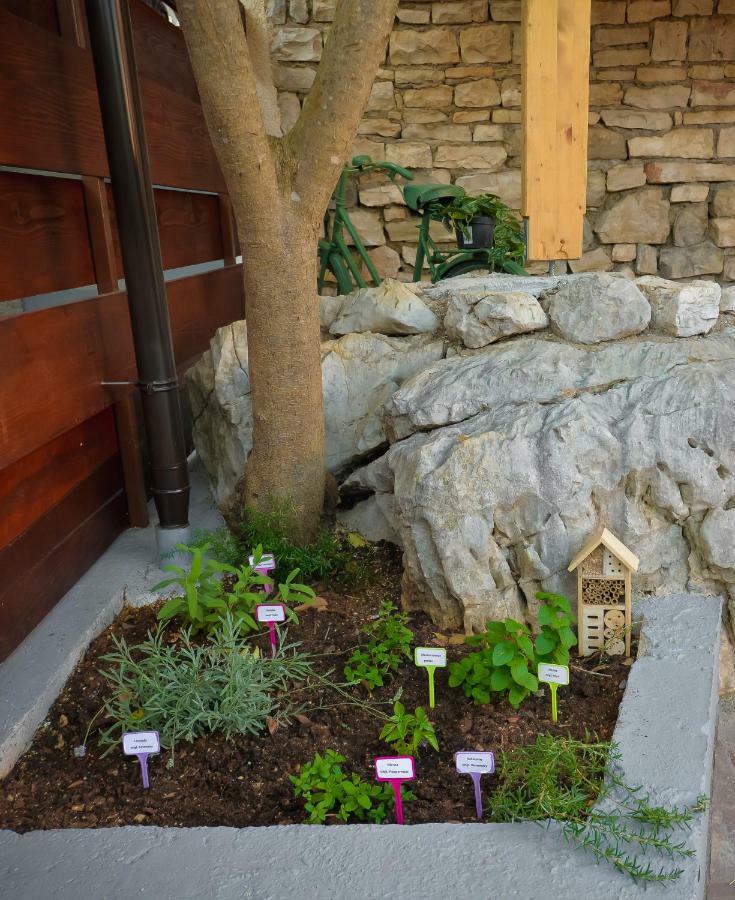 PUY Vintage Garden Apartment מראה חיצוני תמונה
